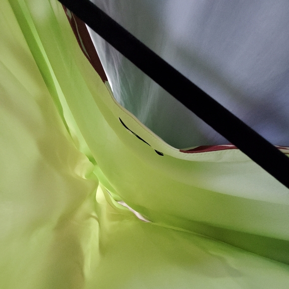 ASOS Green and Brown Floral Maxi Dress - Picture 7 of 12